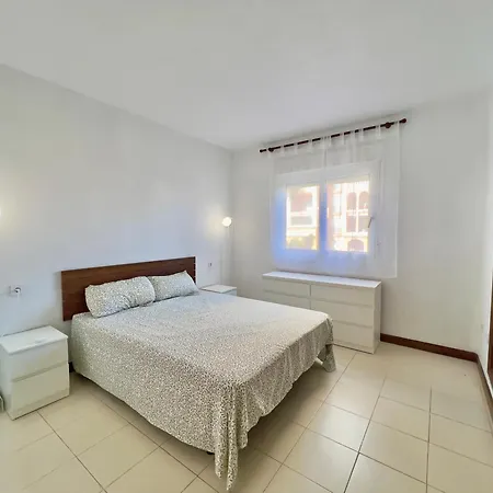 Palm Valley Τορεβιέχα