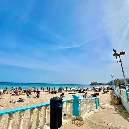 Palm Valley Τορεβιέχα