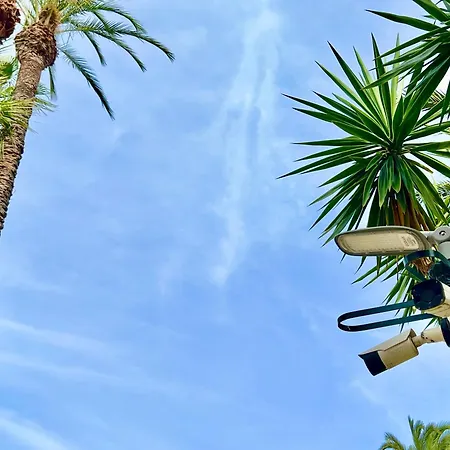 Palm Valley * Τορεβιέχα