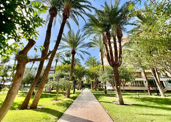 Апартаменты Palm Valley *