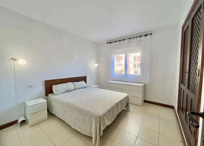 Palm Valley Торевьиа