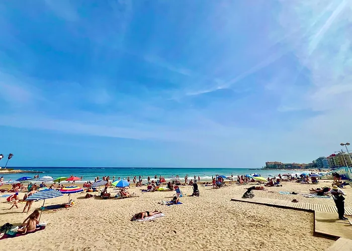 Palm Valley * Торевьиа