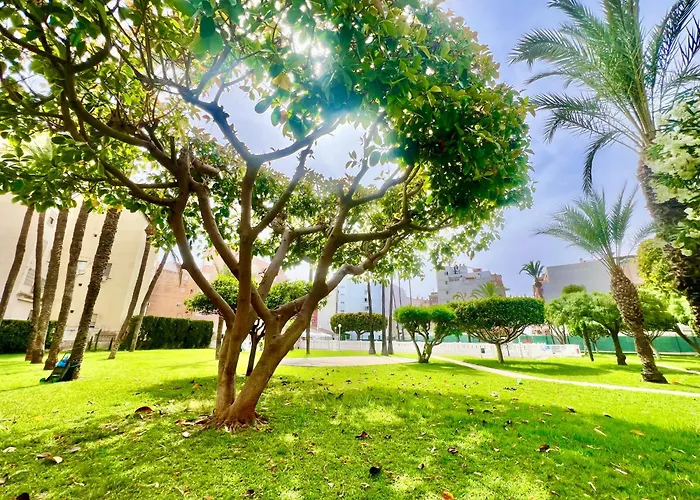 Апартаменты Palm Valley