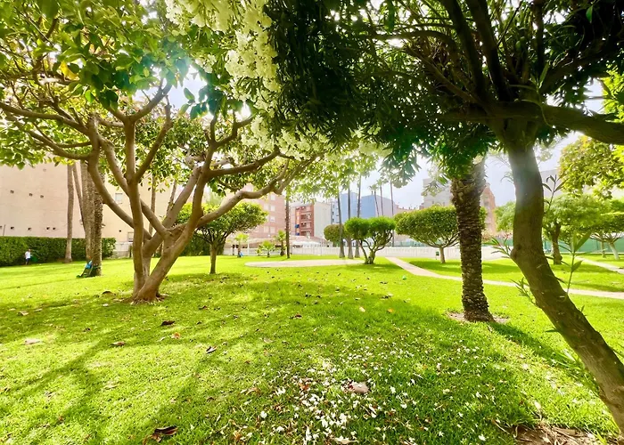 Апартаменты Palm Valley *