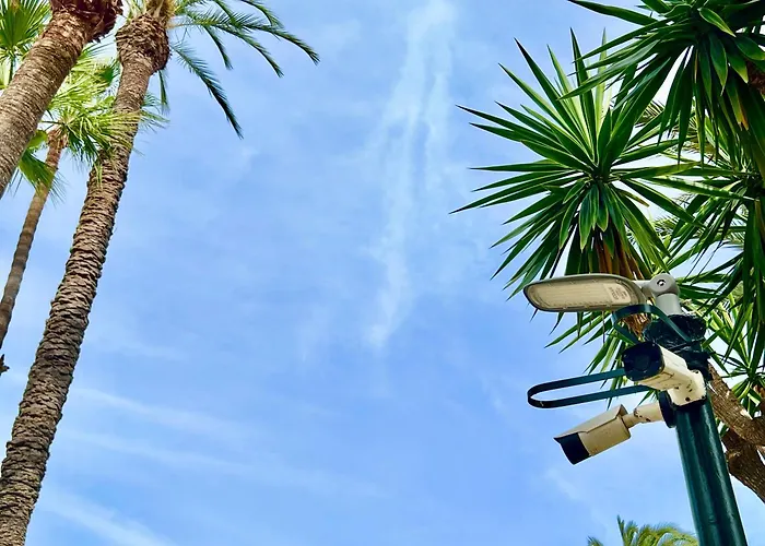 Palm Valley * Торевьиа