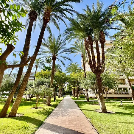 Апартаменты Palm Valley *